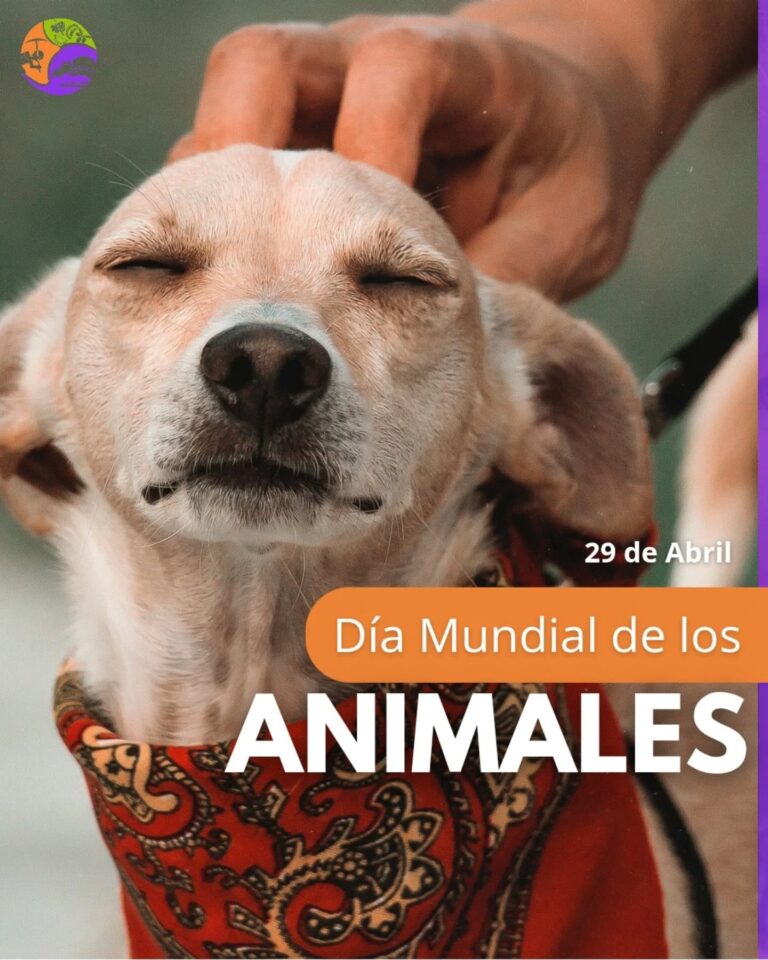 Sarmiento celebró el Día Mundial de los Animales con una jornada integral de salud para mascotas y familias