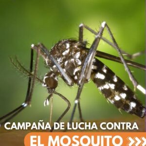 ¡La prevención del mosquito es un compromiso de toda la comunidad!