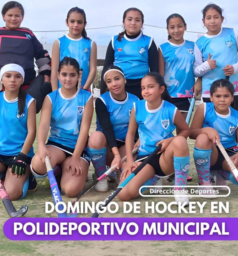 Sarmiento vibró con una nueva fecha de la Liga Social Norte de Hockey