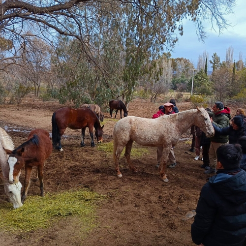 Que hacer en Sarmiento 2025 CABALGATADE LA PAZ