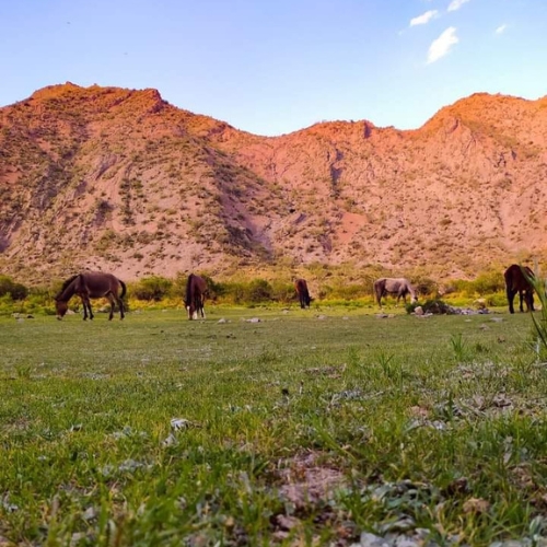 Grupo de excursionistas en la cima del Cerro de la Cruz