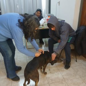 Centro de zoonosis WhatsApp Image 2025-09-12 at 09.14.34