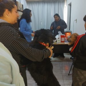 Centro de zoonosis WhatsApp Image 2025-09-12 at 09.14.35 (1)