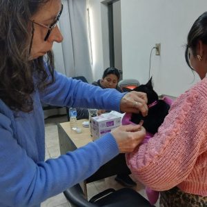 Centro de zoonosis WhatsApp Image 2025-09-12 at 09.14.39