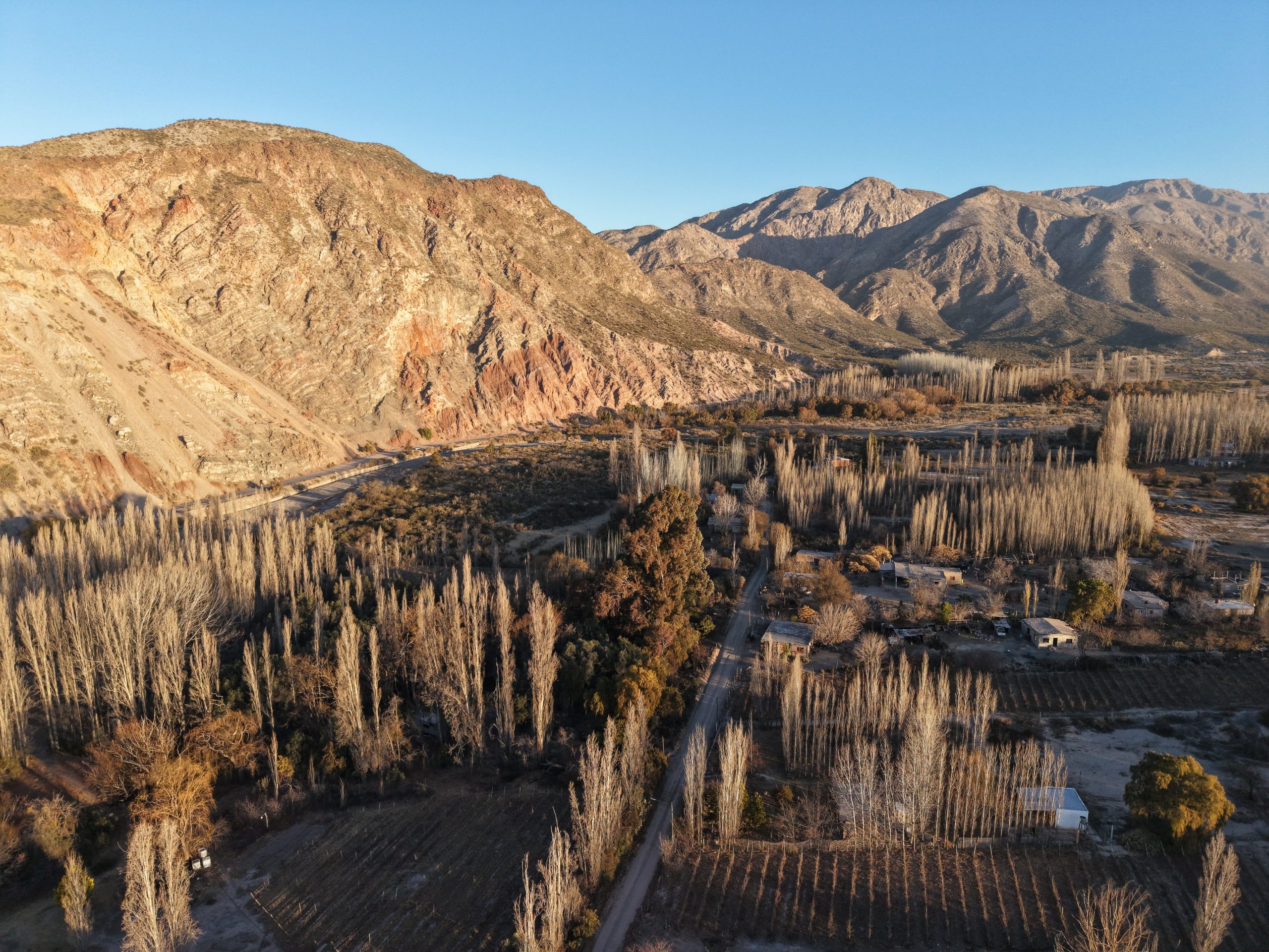 dji fly 20250719 181416 0644 1752983331612 photo scaled